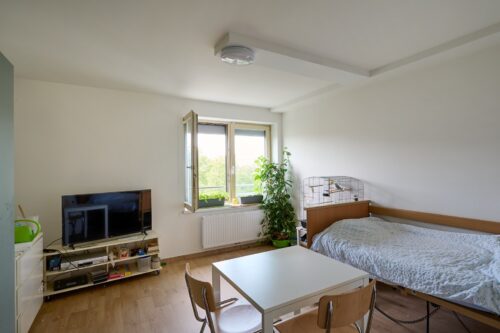 Leopoldauerstraße_0713