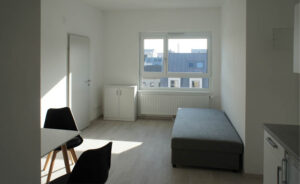 haus-bruennerstrasse-2